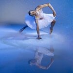 Swan-Lake©Introdans-Hans-Withoos_liggend_HR